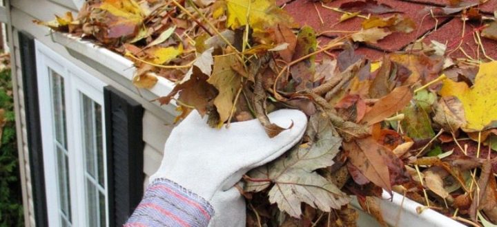 A gloved hand removes a pile of fallen leaves from a white gutter on a red-shingled roof, demonstrating the importance of regular gutter cleaning to prevent clogs and water damage.