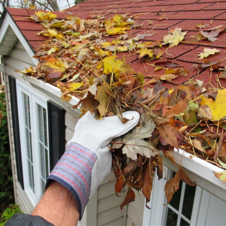 A gloved hand removes a pile of fallen autumn leaves from a white gutter, emphasizing the importance of regular gutter cleaning to prevent clogs and water damage.